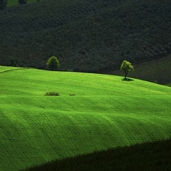 vacanza in collina.